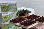 事业辉煌高速赋能产业升级：一条“杨梅路”的致富密码